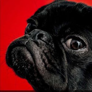 Meet your Posher, Cartiair